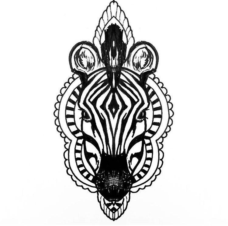 zebre